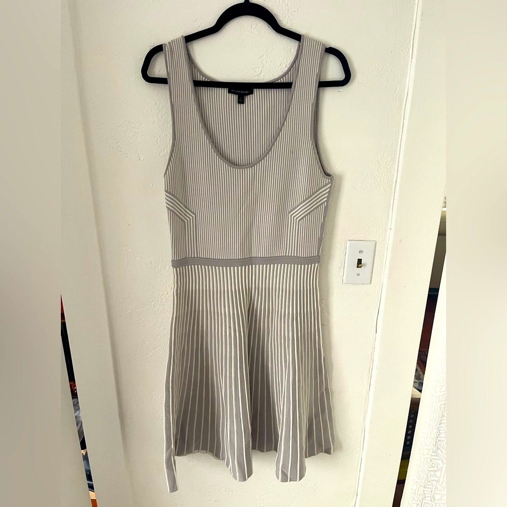 Banana Republic Gray Striped Mini Dress